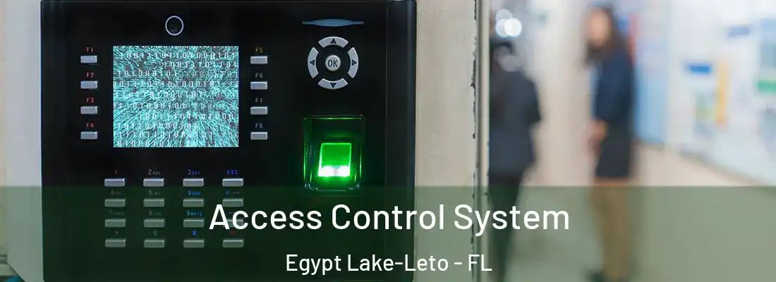  Access Control System Egypt Lake-Leto - FL