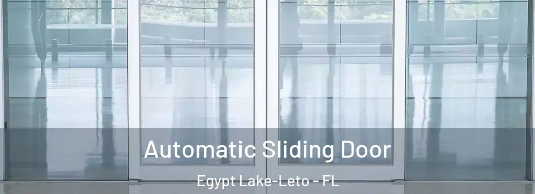  Automatic Sliding Door Egypt Lake-Leto - FL