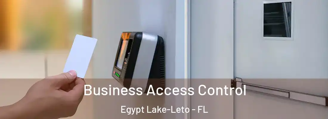  Business Access Control Egypt Lake-Leto - FL
