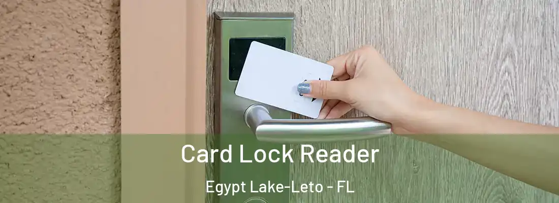  Card Lock Reader Egypt Lake-Leto - FL