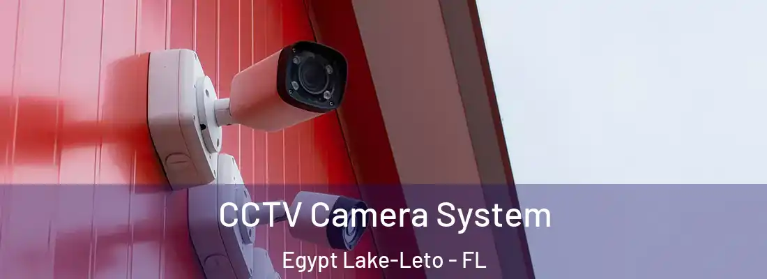  CCTV Camera System Egypt Lake-Leto - FL