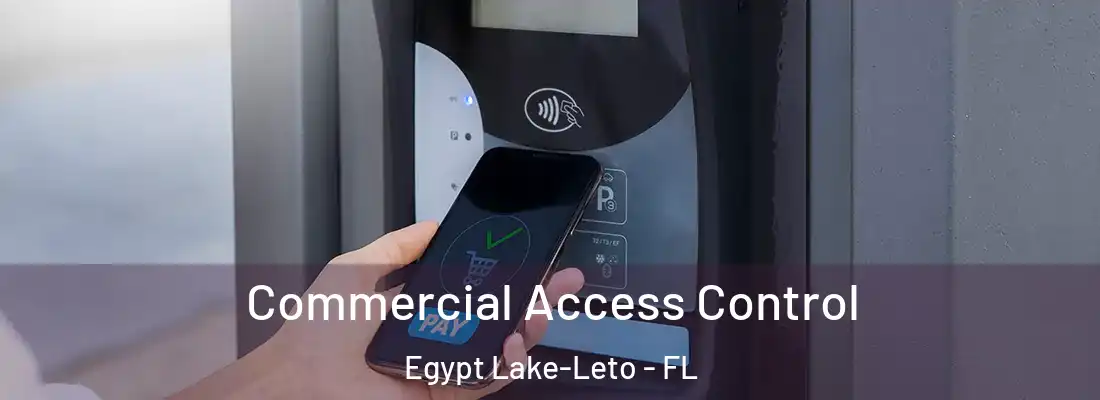  Commercial Access Control Egypt Lake-Leto - FL