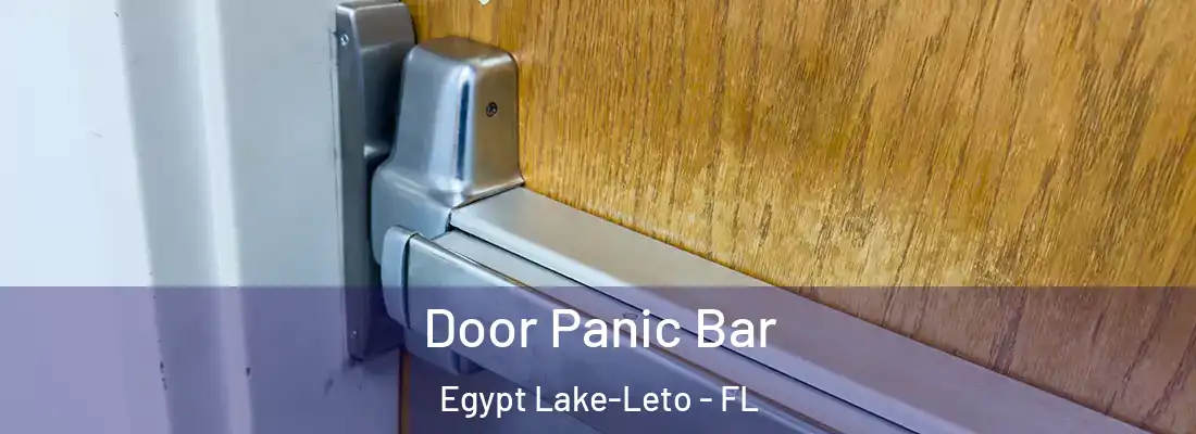  Door Panic Bar Egypt Lake-Leto - FL