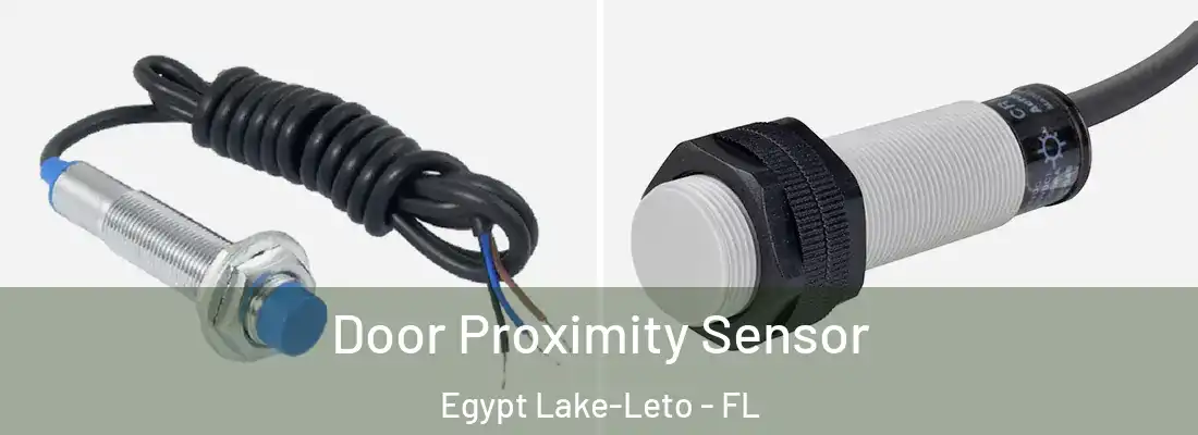 Door Proximity Sensor Egypt Lake-Leto - FL