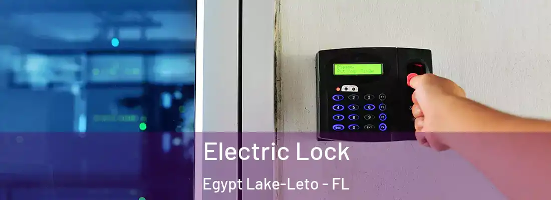  Electric Lock Egypt Lake-Leto - FL