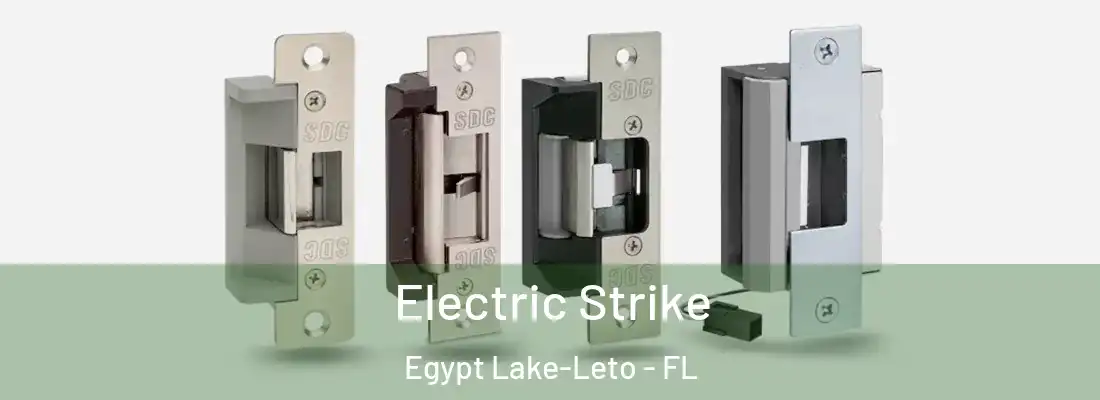  Electric Strike Egypt Lake-Leto - FL