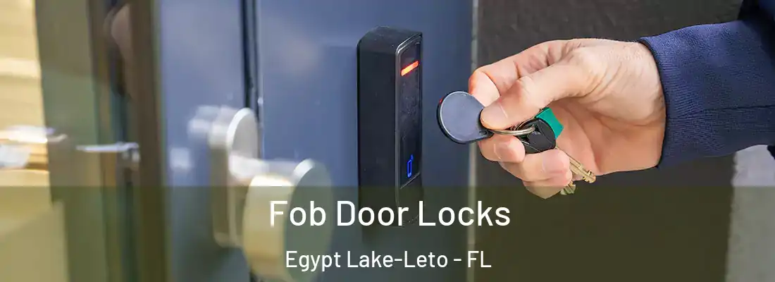 Fob Door Locks Egypt Lake-Leto - FL