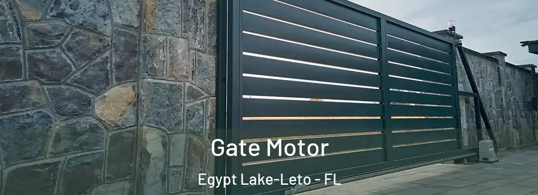  Gate Motor Egypt Lake-Leto - FL