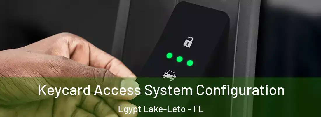 Keycard Access System Configuration Egypt Lake-Leto - FL