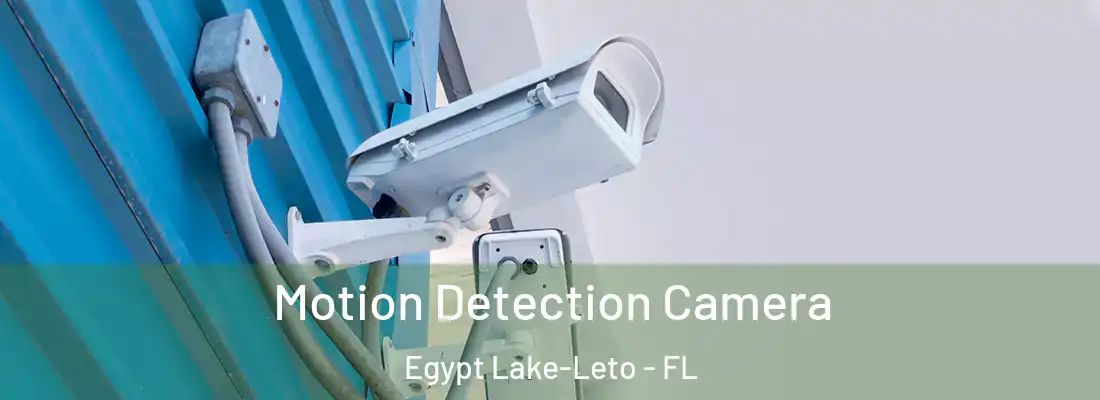  Motion Detection Camera Egypt Lake-Leto - FL