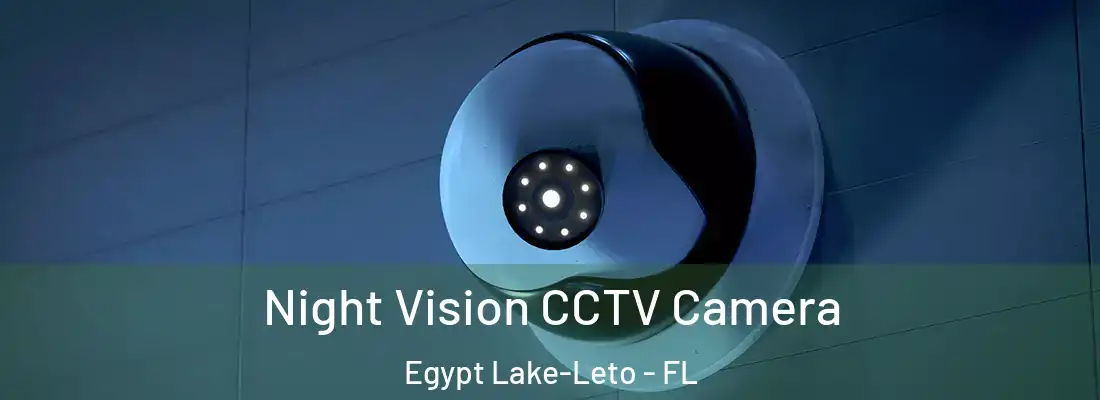  Night Vision CCTV Camera Egypt Lake-Leto - FL