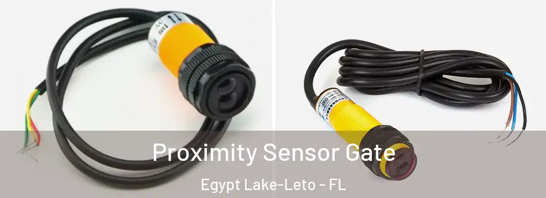 Proximity Sensor Gate Egypt Lake-Leto - FL