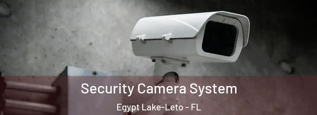  Security Camera System Egypt Lake-Leto - FL