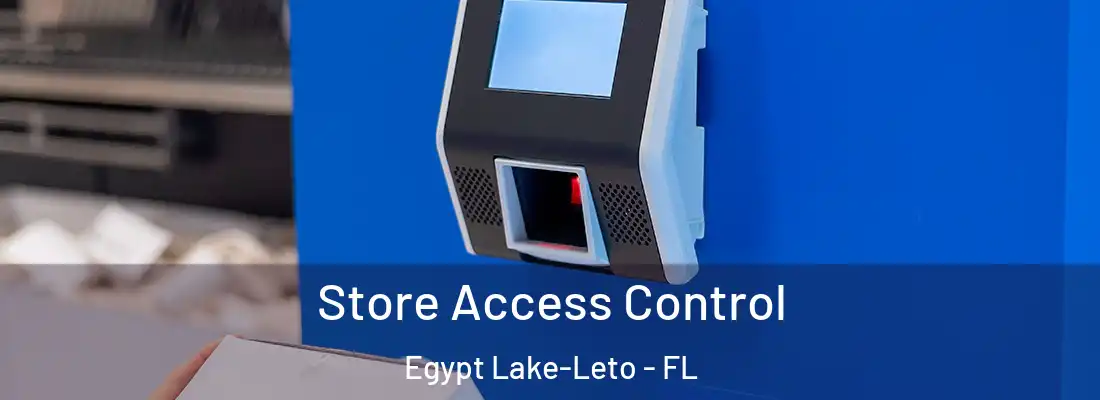  Store Access Control Egypt Lake-Leto - FL
