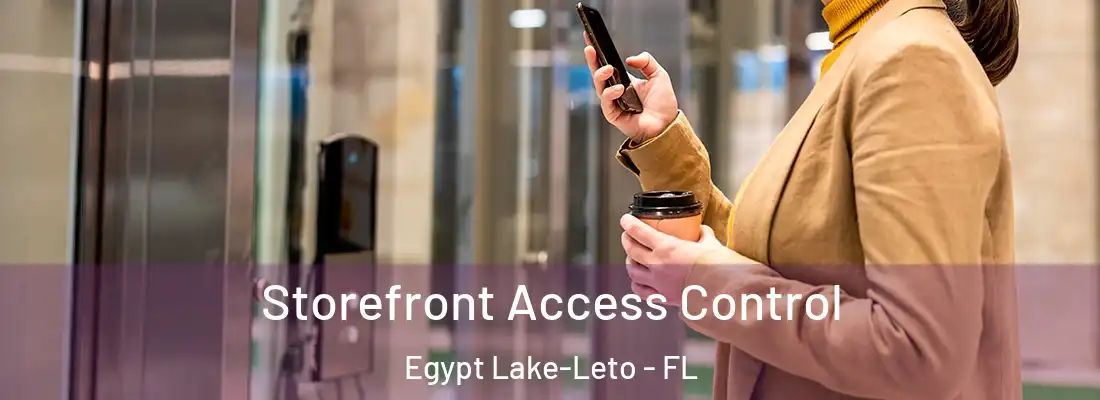  Storefront Access Control Egypt Lake-Leto - FL