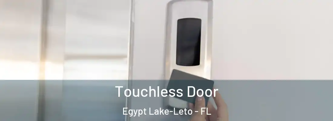  Touchless Door Egypt Lake-Leto - FL