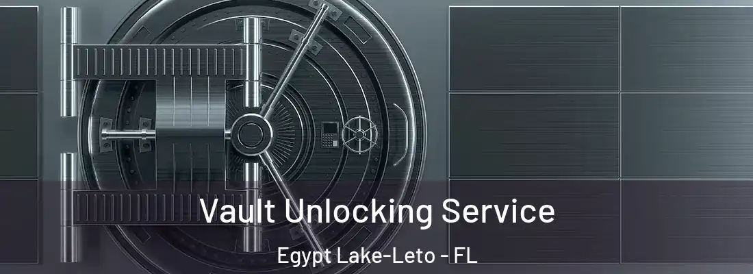  Vault Unlocking Service Egypt Lake-Leto - FL